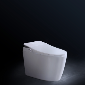 Sanitario Jupiter Pro